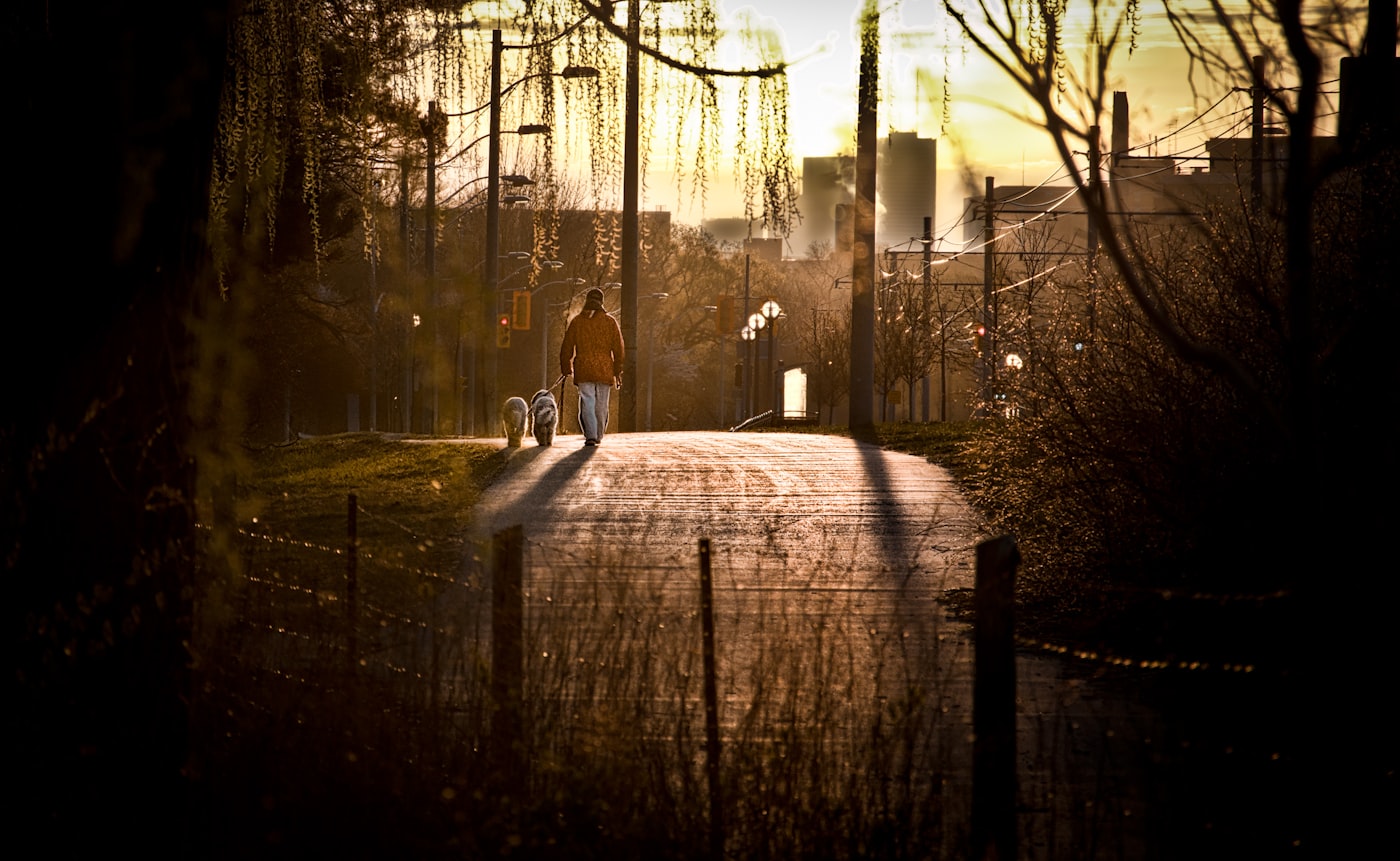 Person walking outdoors at sunrise representing aftercare and returning to daily life