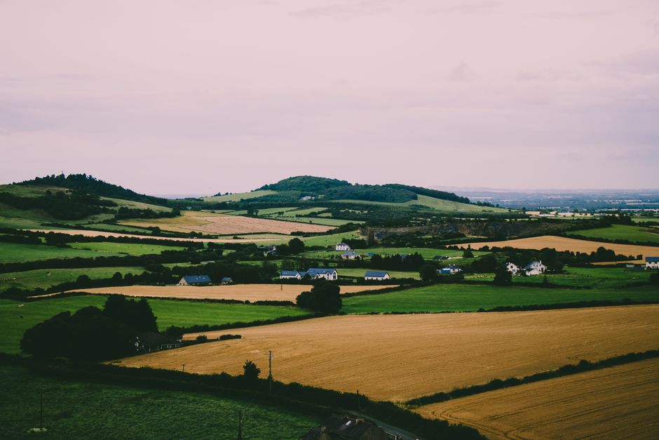 County Kildare countryside near Athy in Ireland
