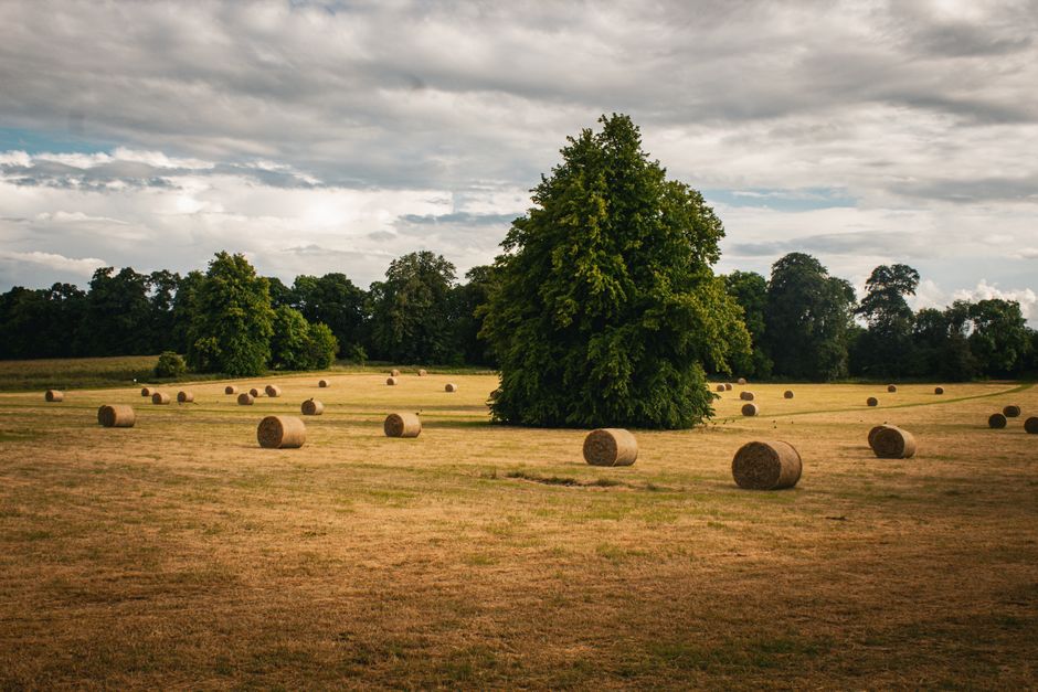 County Kilkenny countryside near Ballyragget in Ireland