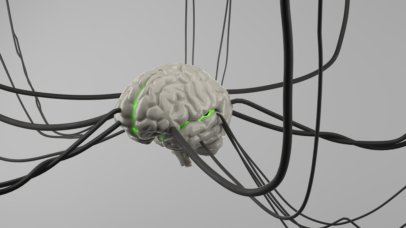 Illustration of the brain dopamine reward pathway affected by drug addiction