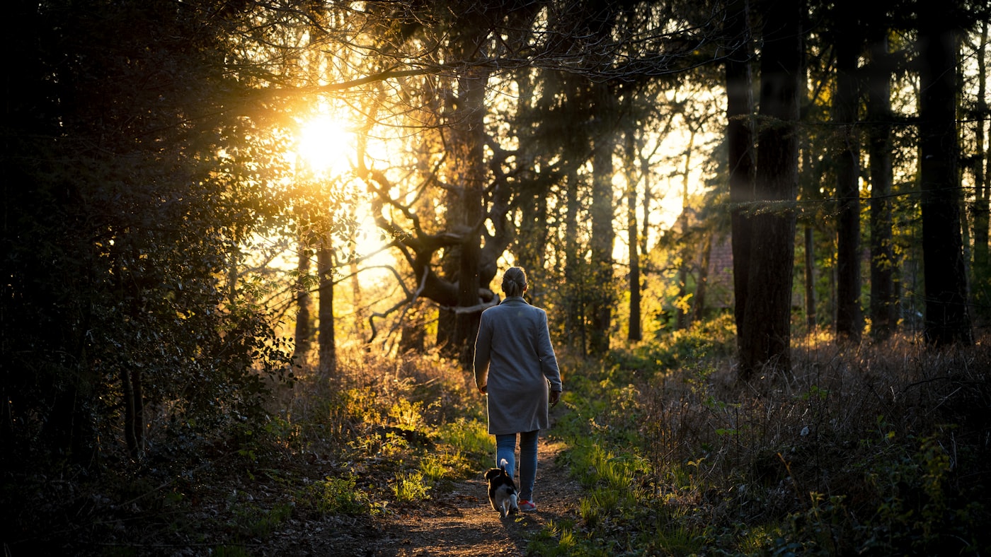 Person taking a hopeful next step toward addiction recovery outdoors