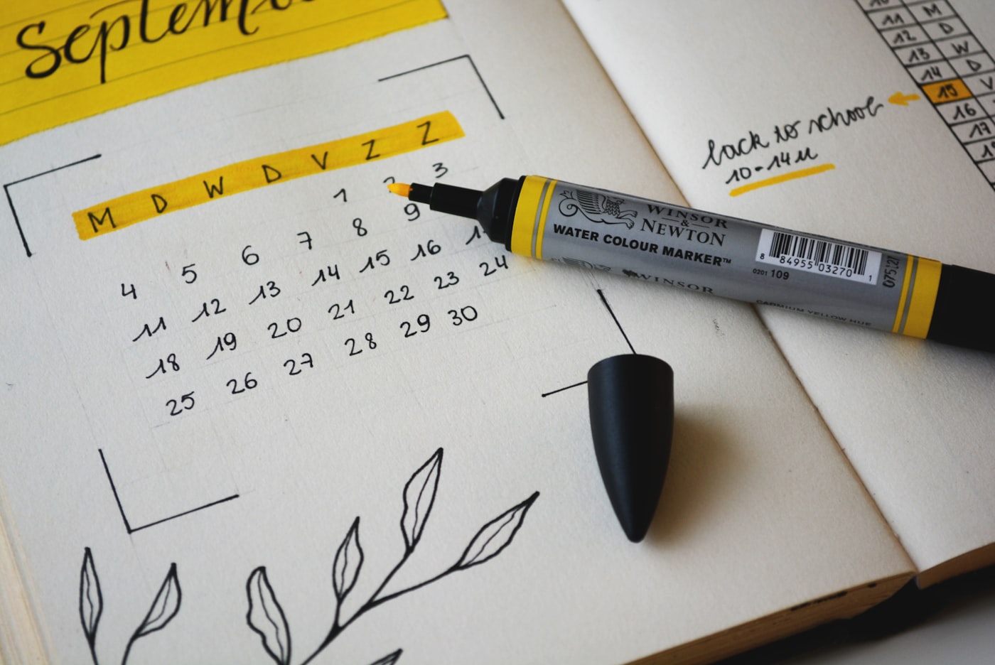 Calendar marking out a six-week structured treatment programme