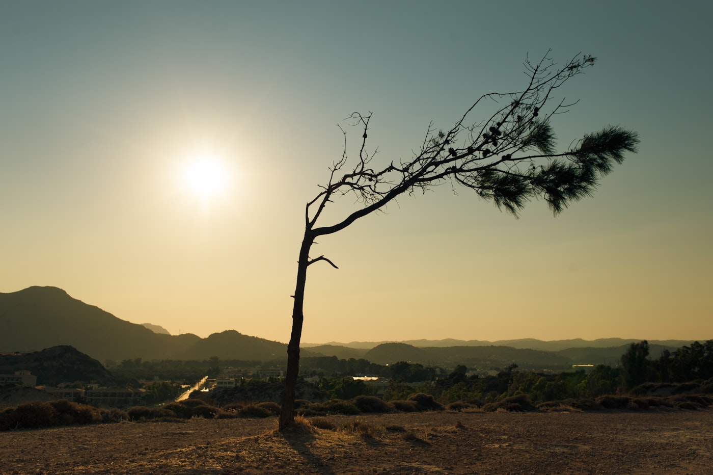 Recovery Is Possible: A Successful Rehab Journey